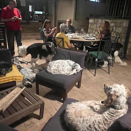 Setterhouseagrihotel Trevi Dış mekan fotoğraf