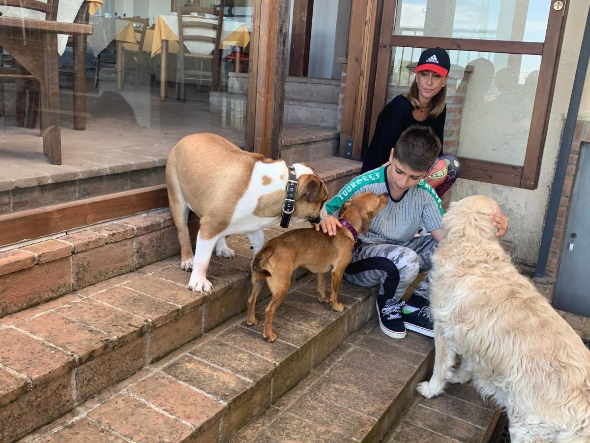 Setterhouseagrihotel Trevi Dış mekan fotoğraf
