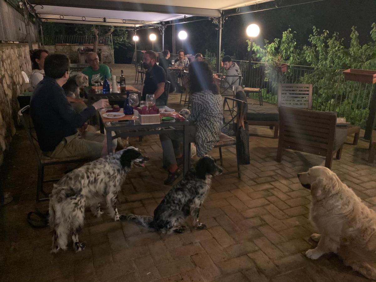 Setterhouseagrihotel Trevi Dış mekan fotoğraf