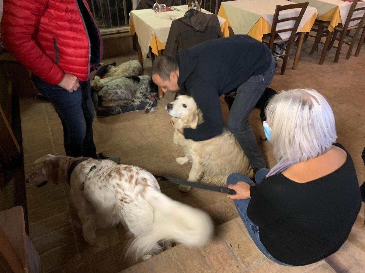 Setterhouseagrihotel Trevi Dış mekan fotoğraf