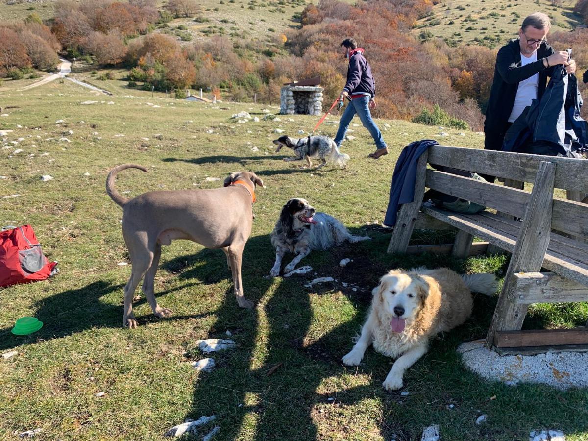 Setterhouseagrihotel Trevi Dış mekan fotoğraf