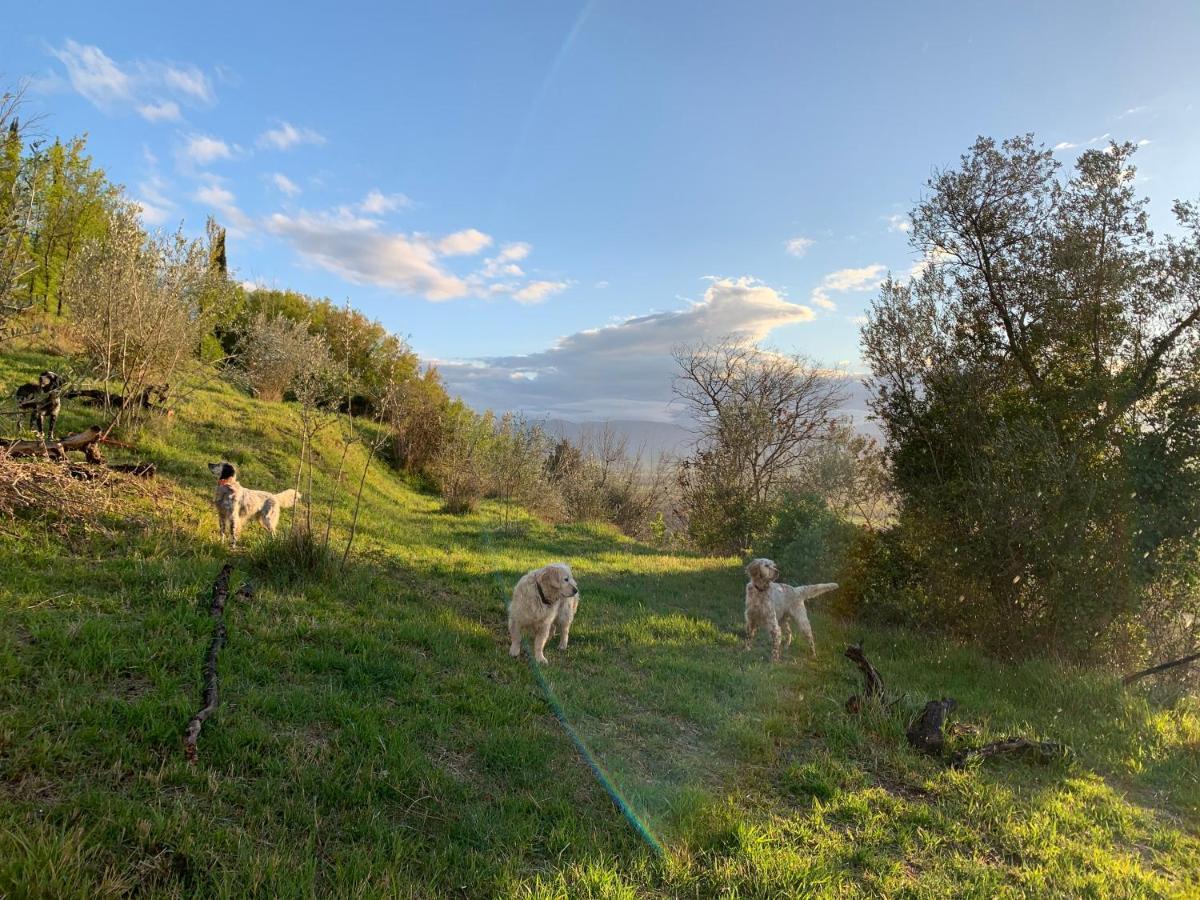 Setterhouseagrihotel Trevi Dış mekan fotoğraf