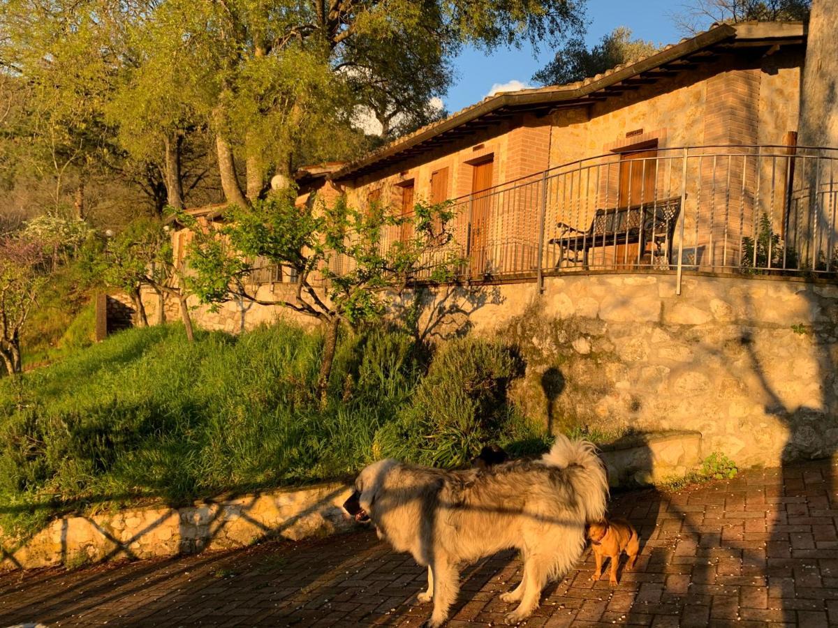 Setterhouseagrihotel Trevi Dış mekan fotoğraf