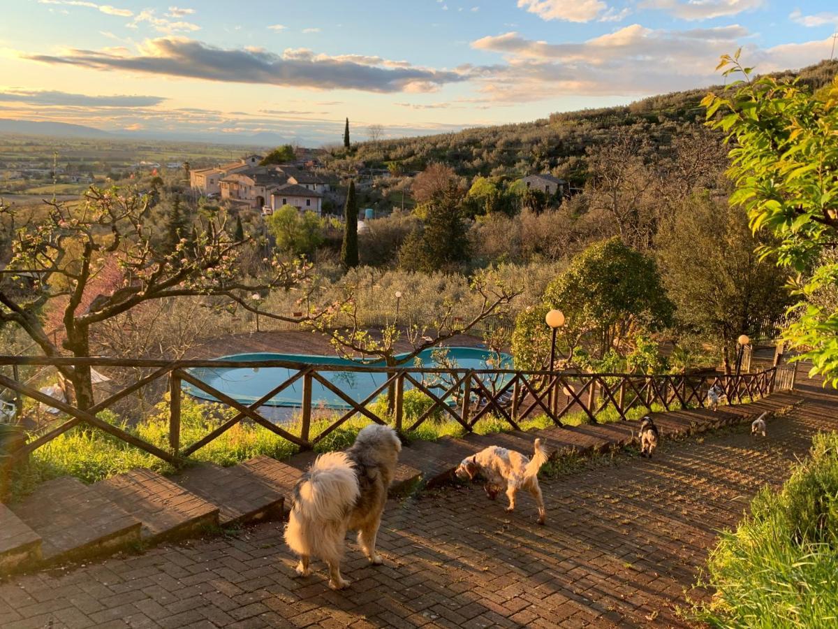 Setterhouseagrihotel Trevi Dış mekan fotoğraf