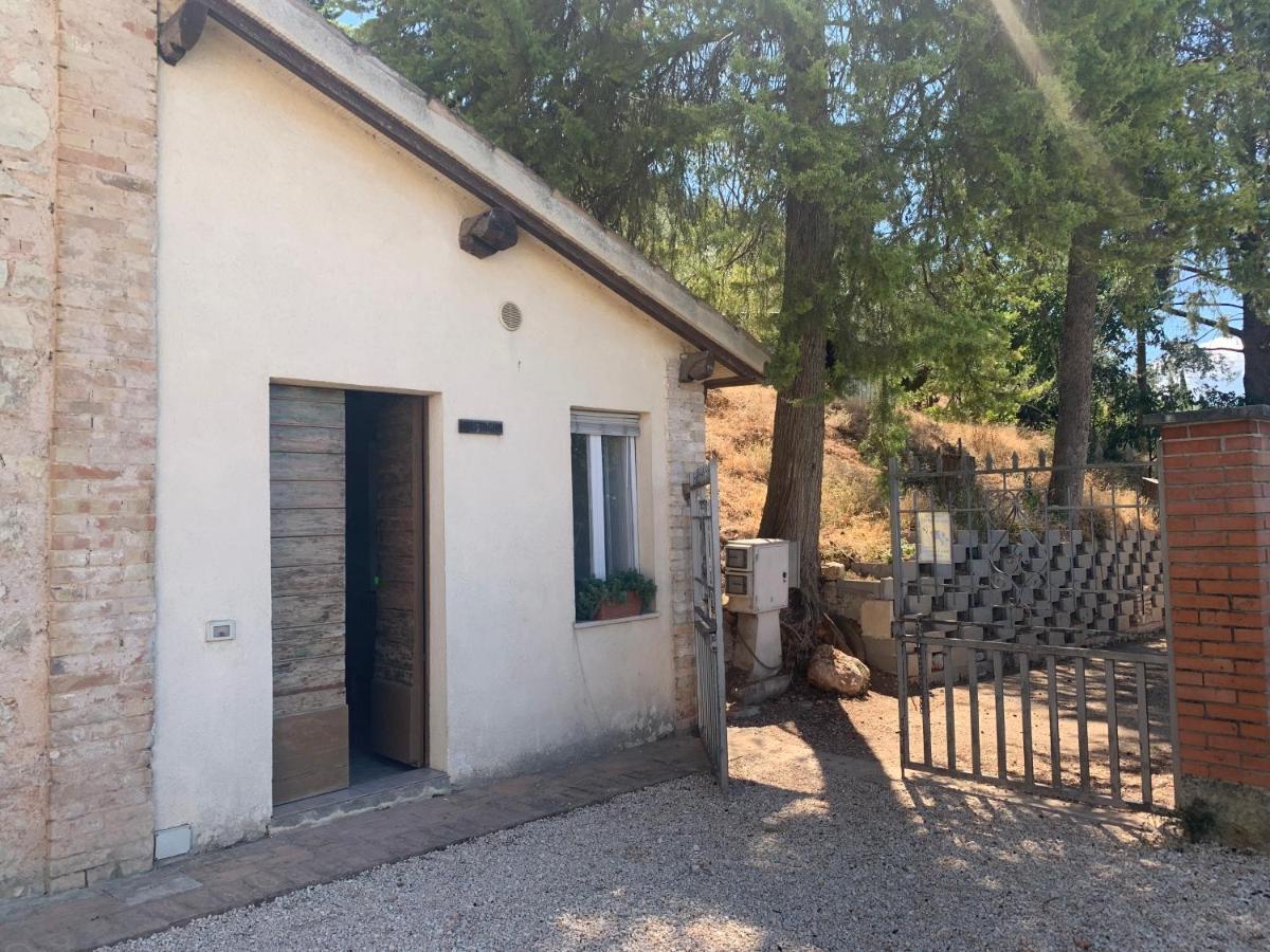 Setterhouseagrihotel Trevi Dış mekan fotoğraf