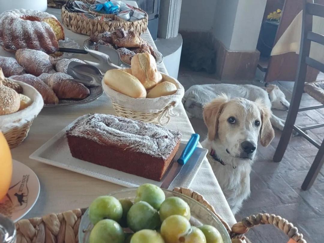 Setterhouseagrihotel Trevi Dış mekan fotoğraf
