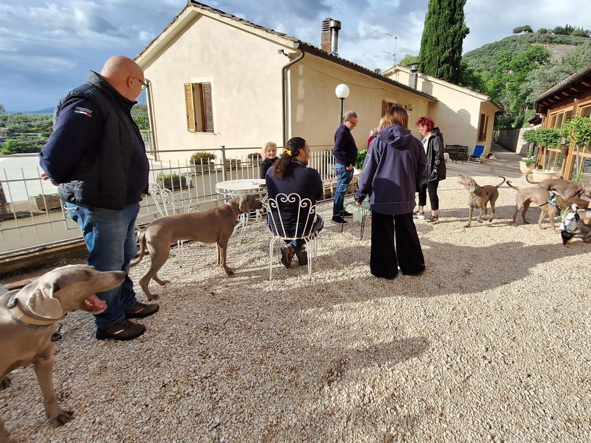 Setterhouseagrihotel Trevi Dış mekan fotoğraf