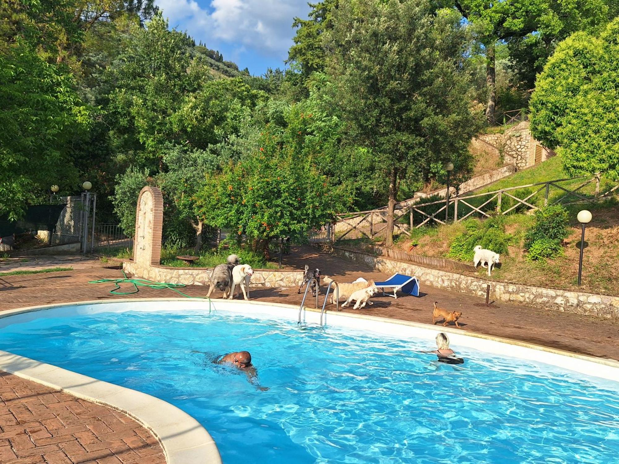 Setterhouseagrihotel Trevi Dış mekan fotoğraf