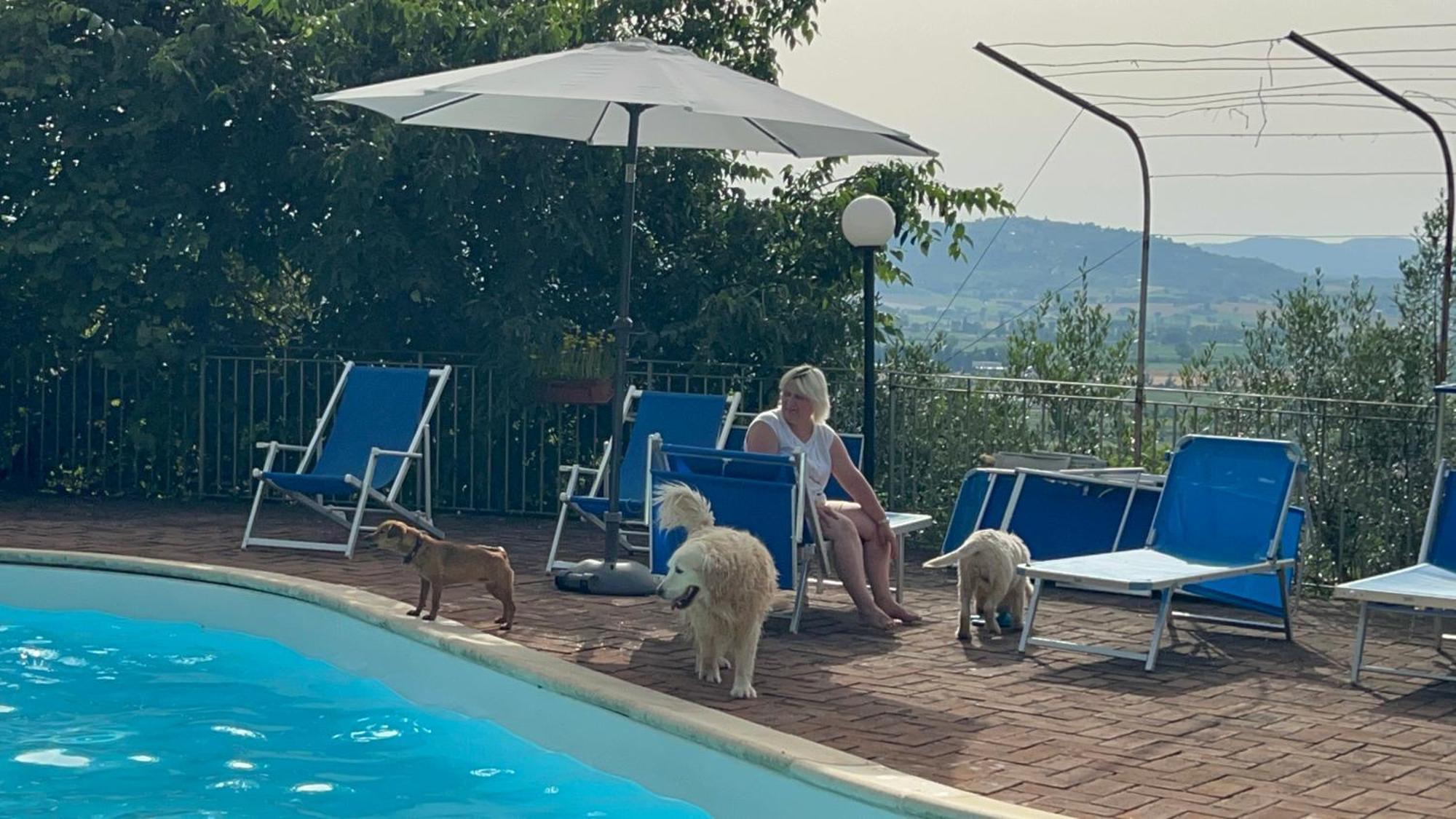 Setterhouseagrihotel Trevi Dış mekan fotoğraf