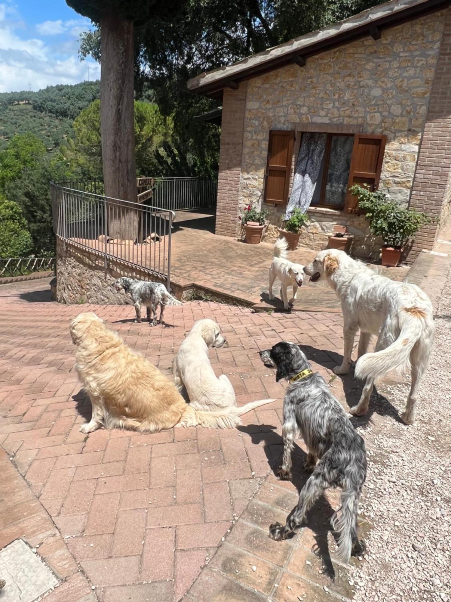 Setterhouseagrihotel Trevi Dış mekan fotoğraf