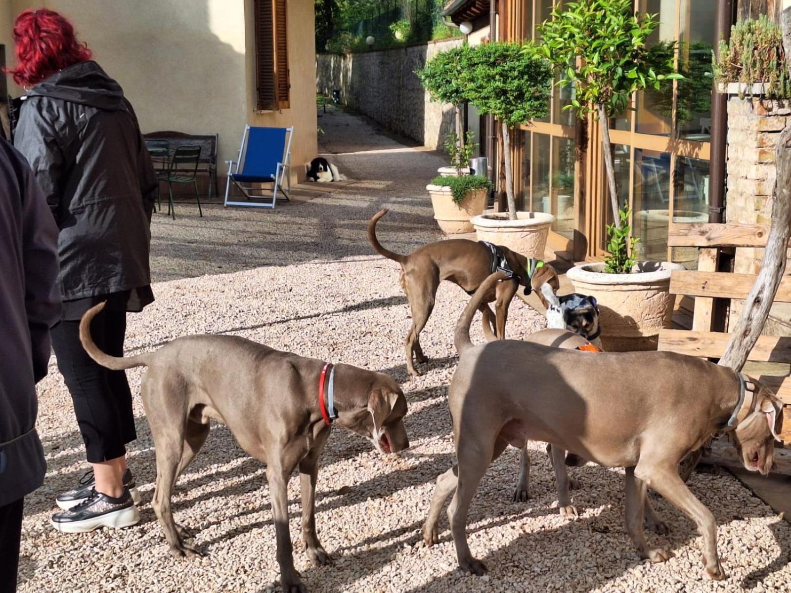 Setterhouseagrihotel Trevi Dış mekan fotoğraf