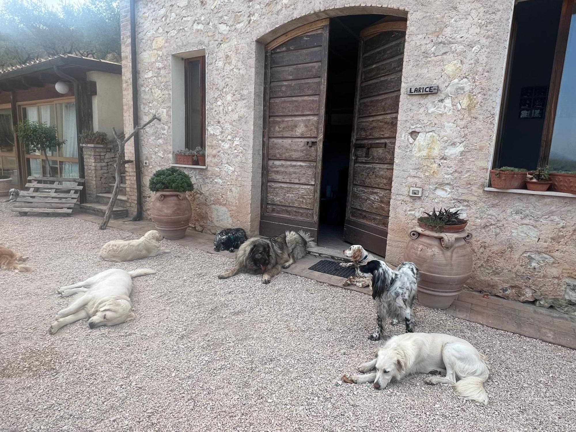 Setterhouseagrihotel Trevi Dış mekan fotoğraf