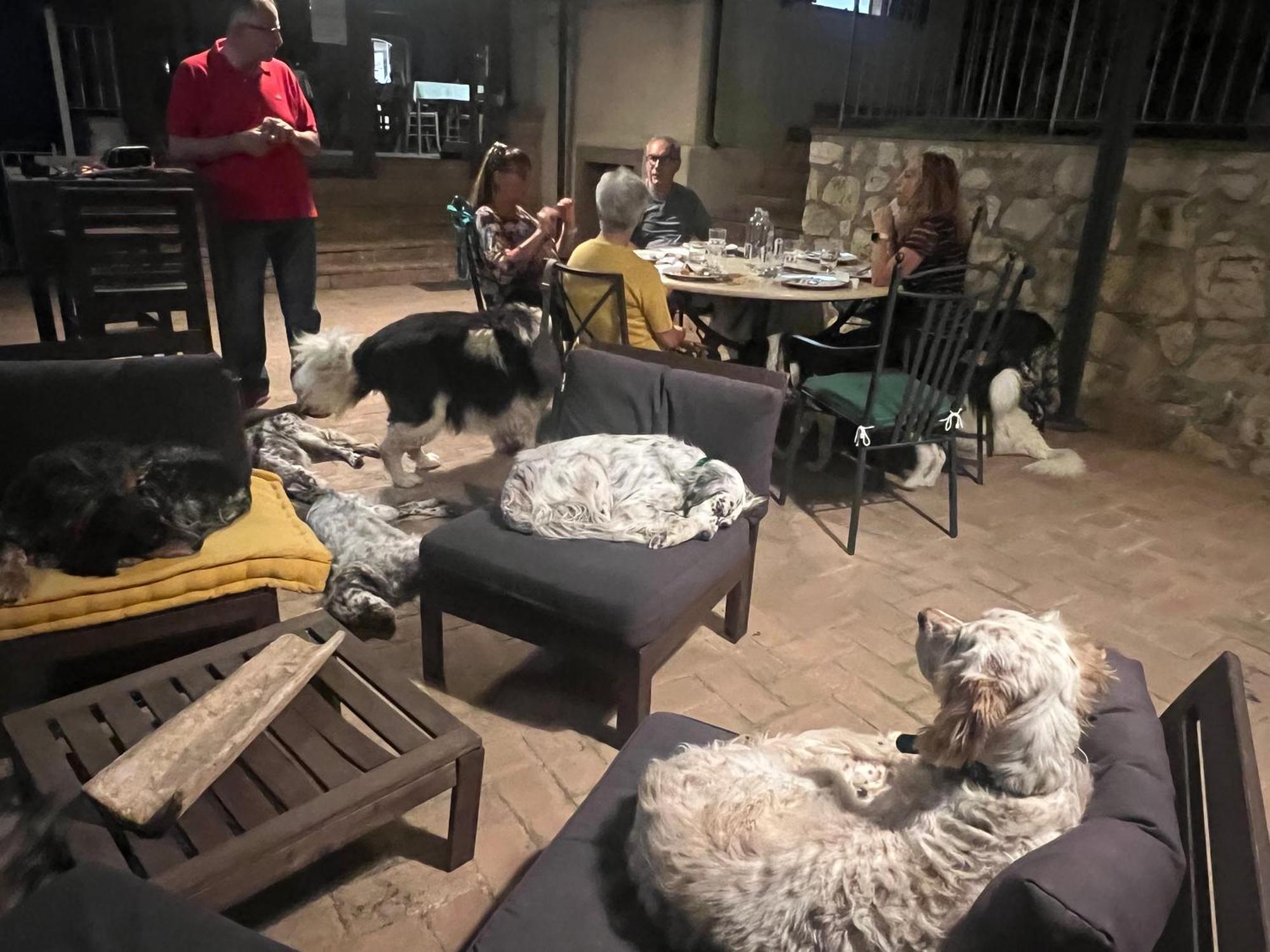 Setterhouseagrihotel Trevi Dış mekan fotoğraf