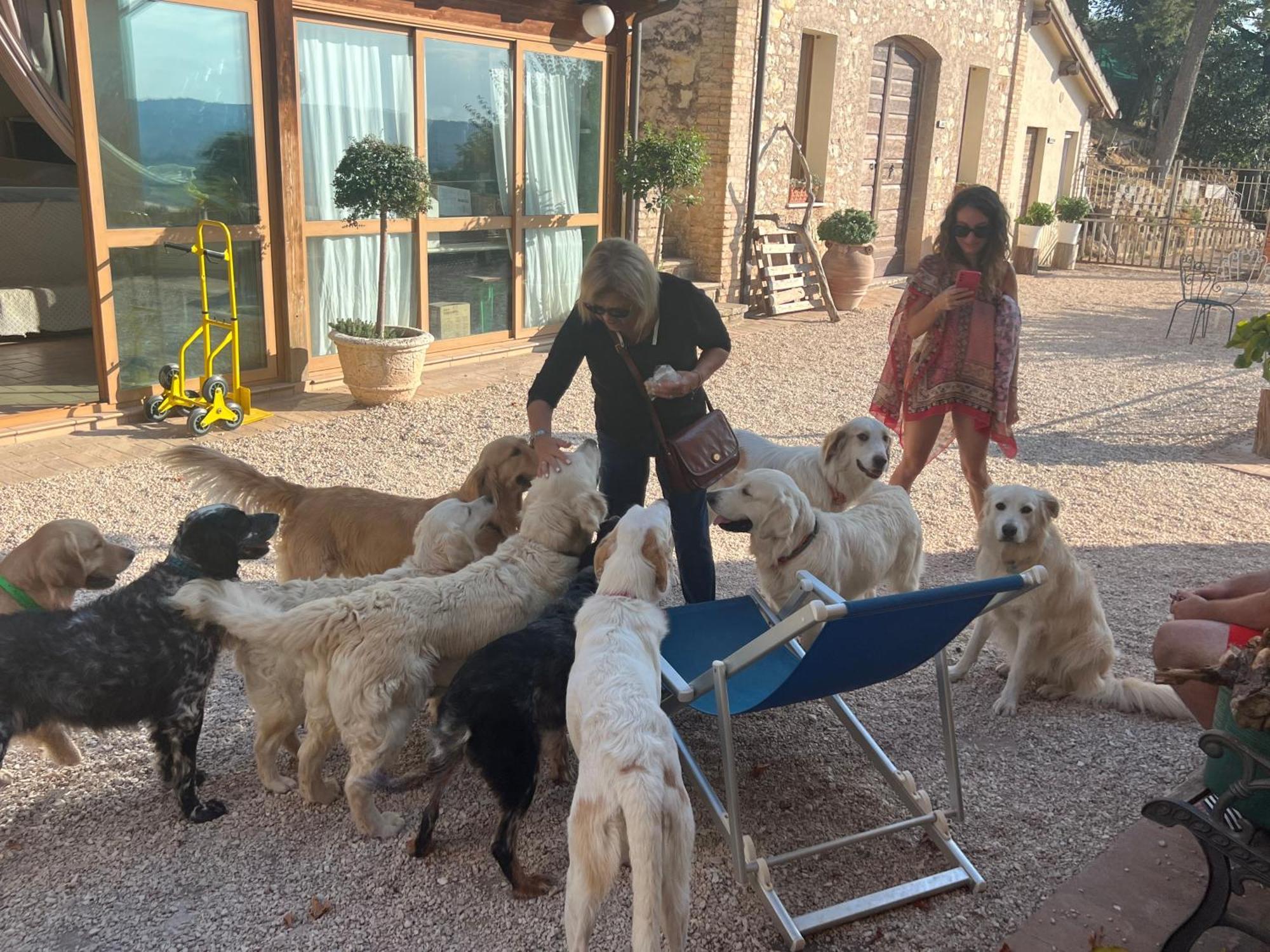 Setterhouseagrihotel Trevi Dış mekan fotoğraf