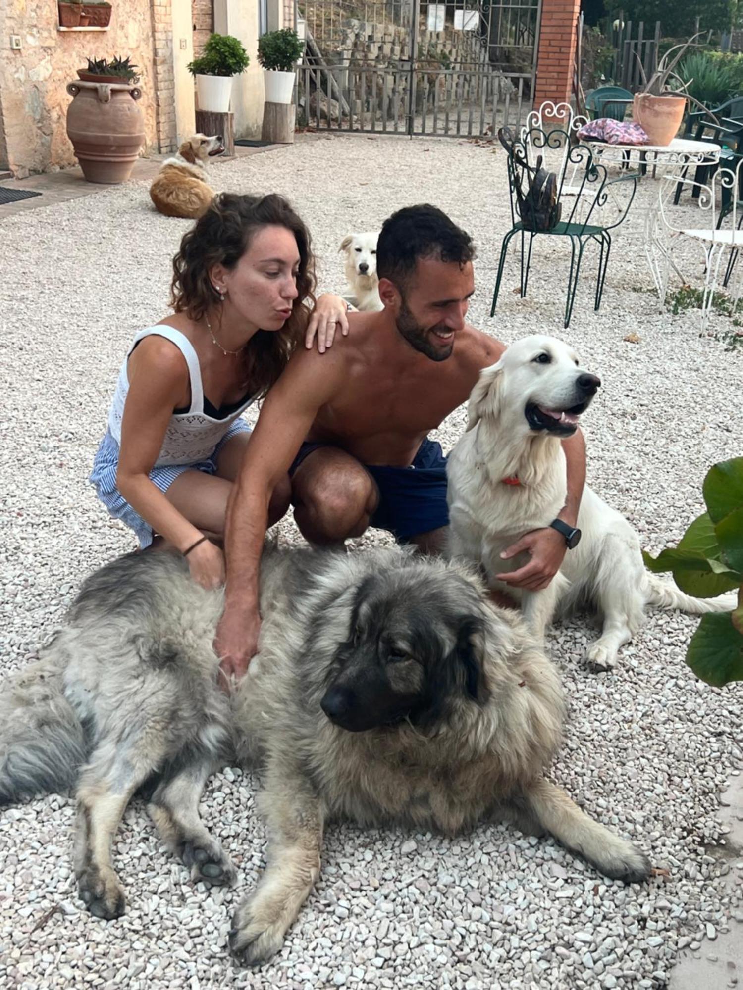 Setterhouseagrihotel Trevi Dış mekan fotoğraf