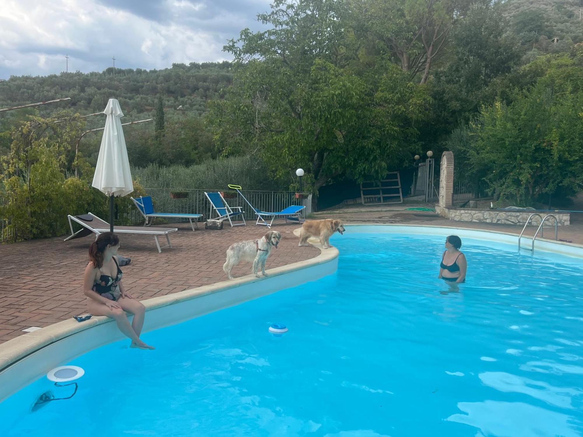 Setterhouseagrihotel Trevi Dış mekan fotoğraf
